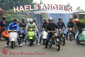 B&B Deurne-Haels Angels